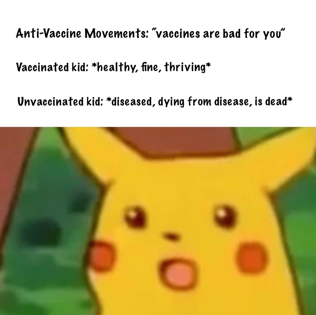 This image has an empty alt attribute; its file name is pikachu-meme.jpg